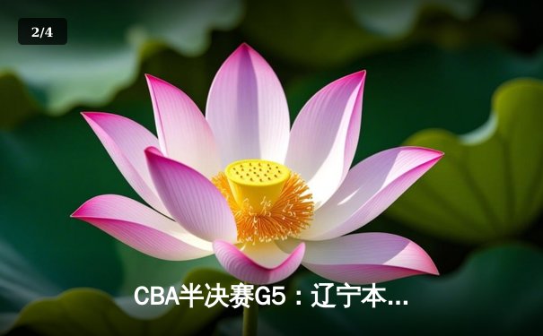 CBA半决赛G5：辽宁本钢加时逆转广东宏远 赵继伟35分创生涯新高 - 2
